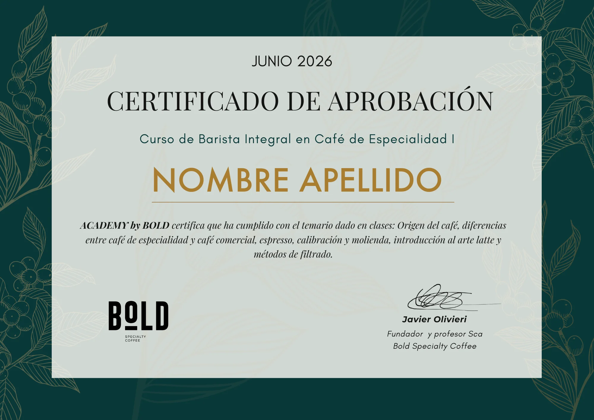 Muestra del Certificado de Aprobación — Academy by Bold