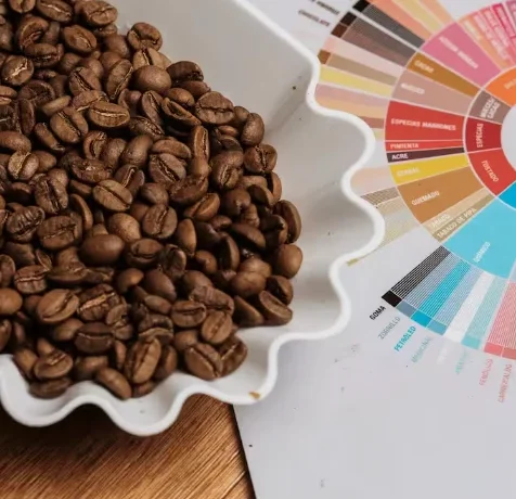 Granos de café de especialidad y rueda de sabores